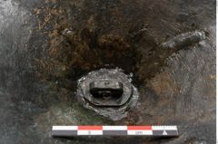 Foto von Bronzephalere (NHMW-PRAE-025079)